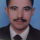 صورة محمد عاطف شعلان