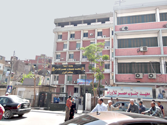 معهد جنوب مصر للأروام