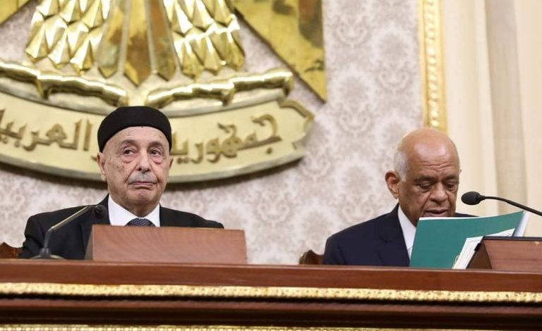 عقيلة صالح في البرلمان المصري