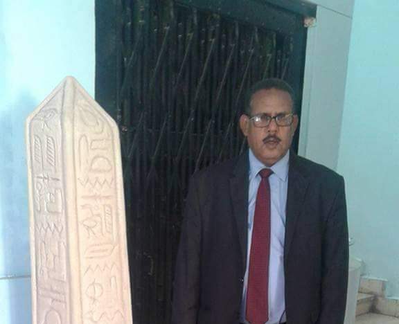الدكتور ناجح محمد احمد مدير المجلس الطبى العام بسوهاج