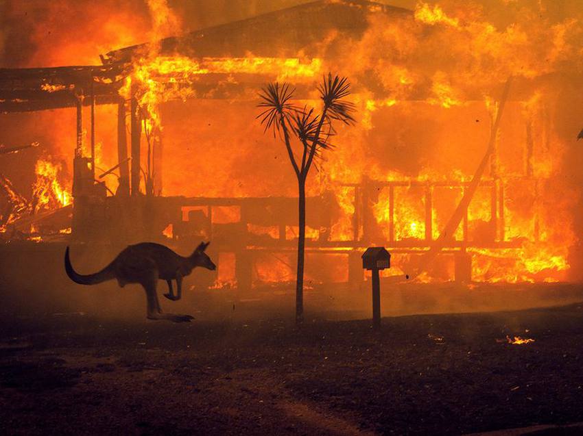 حرائق الغابات باستراليا