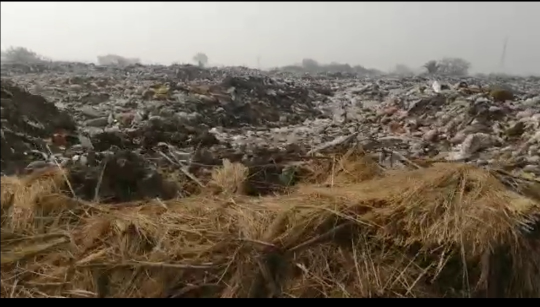 القمامة في مدخل مدينة السنبلاوين طريق الزقازيق 
