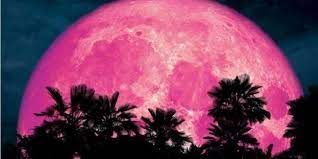 القمر الوردي