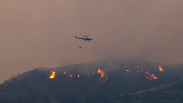 ضحايا حريق غابات قبرص