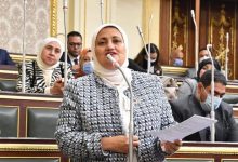 النائبة سناء السعيد