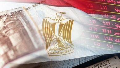 هوية مصر الاقتصادية