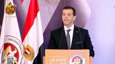 المستشار وليد حمزة رئيس الهيئة الوطنية للانتخابات