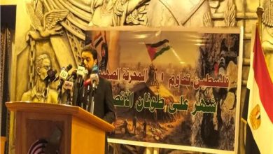 المستشار الإعلامي والثقافي للسفارة الفلسطينية في القاهرة